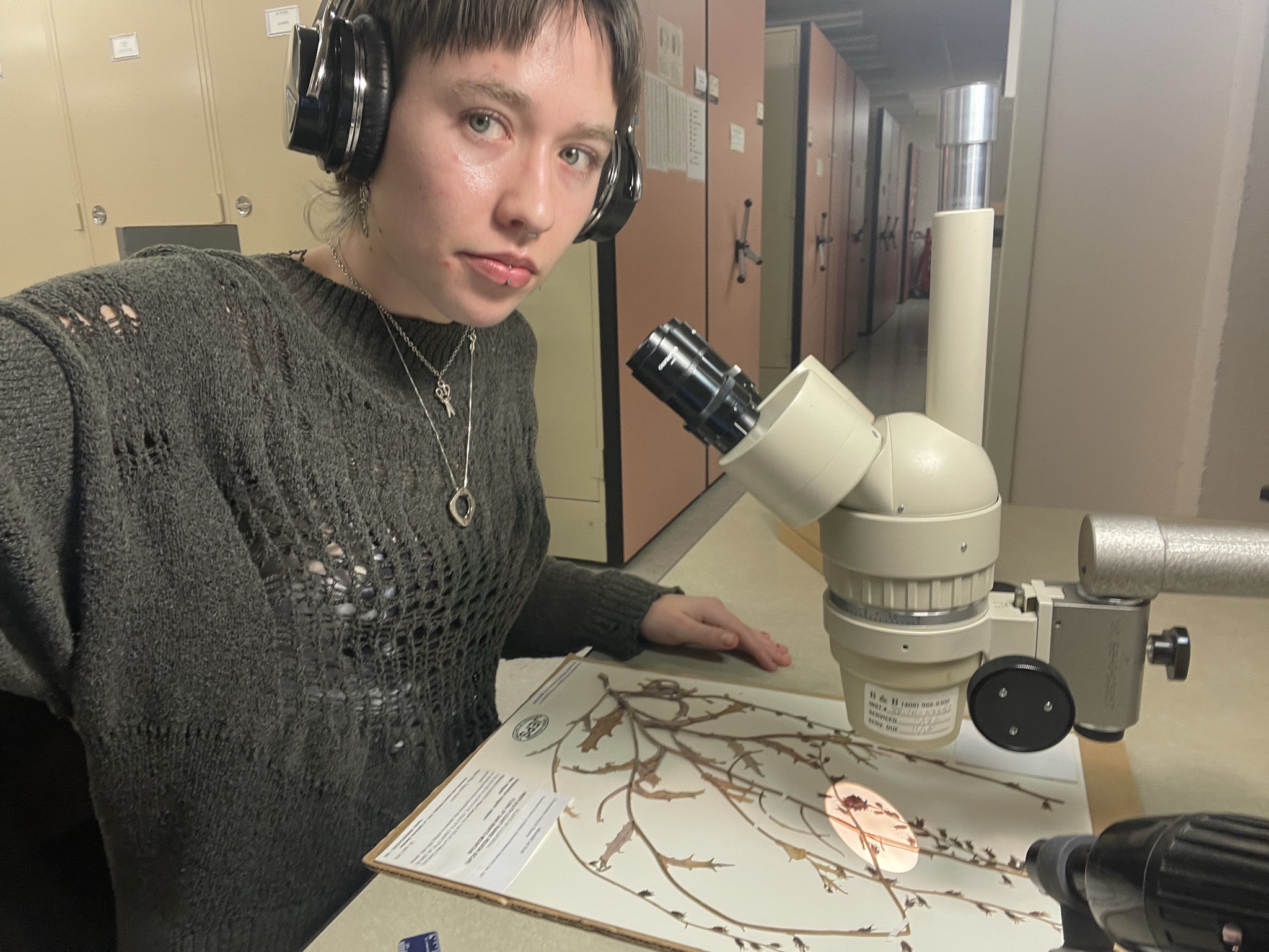 Maia Supple sitting behind a microscope with flower specimen underneath